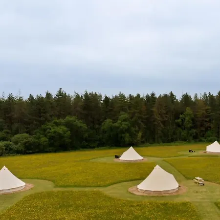 Forest Edge Glamping Gittisham Exterior photo