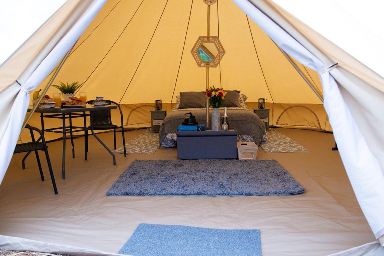 Luxury tent Forest Edge Glamping Gittisham