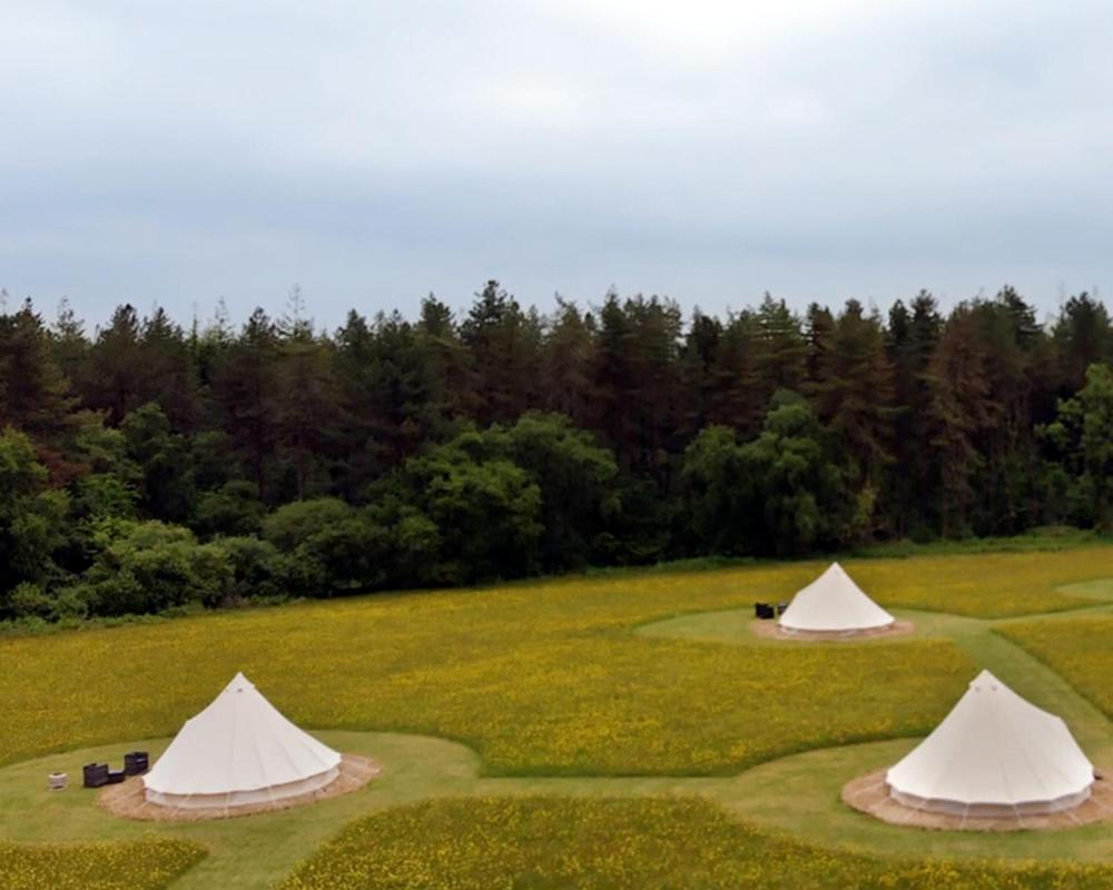 Luxury tent Forest Edge Glamping Gittisham