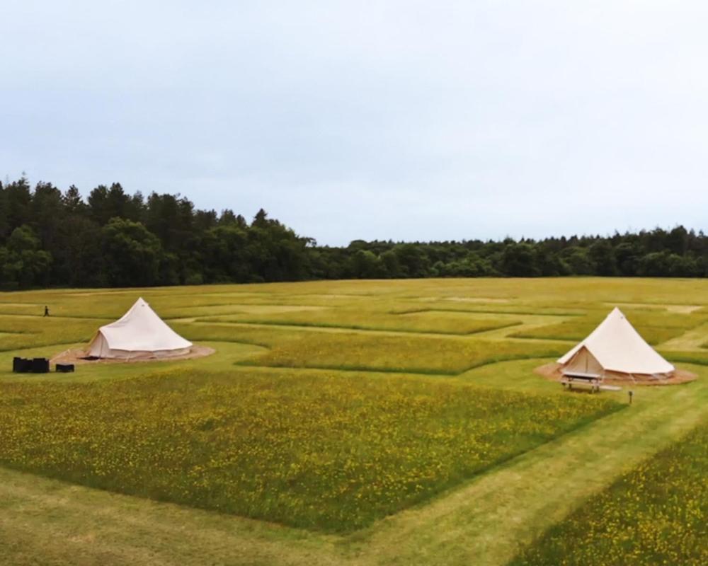 Forest Edge Glamping Luxury tent