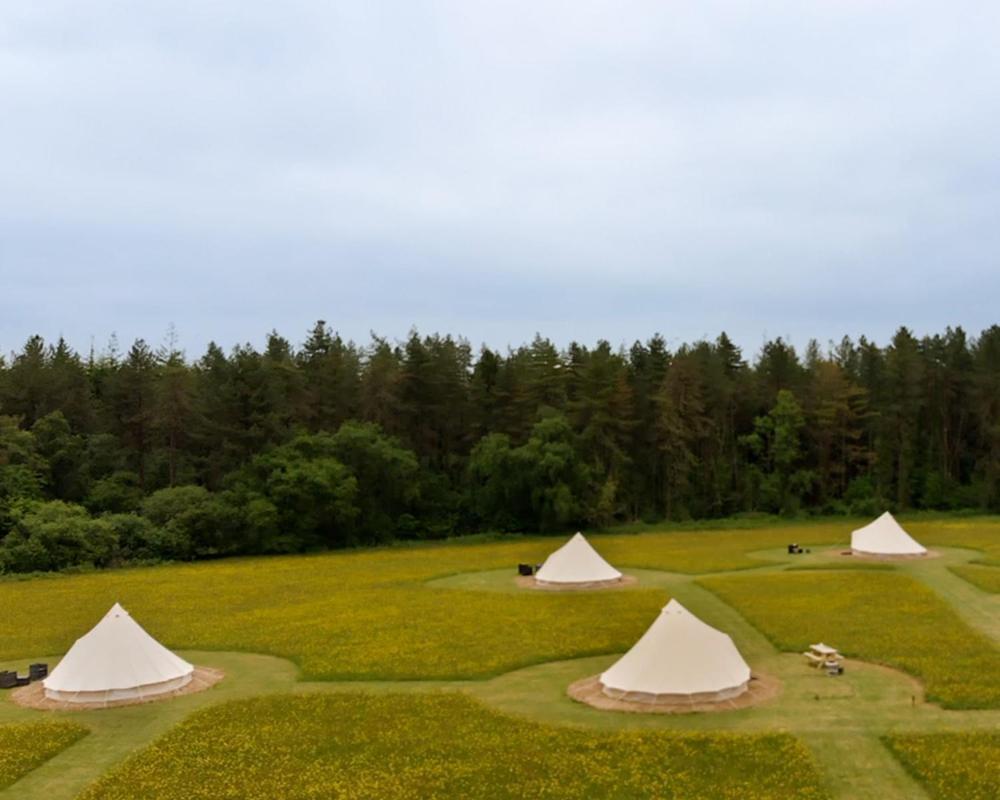 Forest Edge Glamping Luxury tent Gittisham