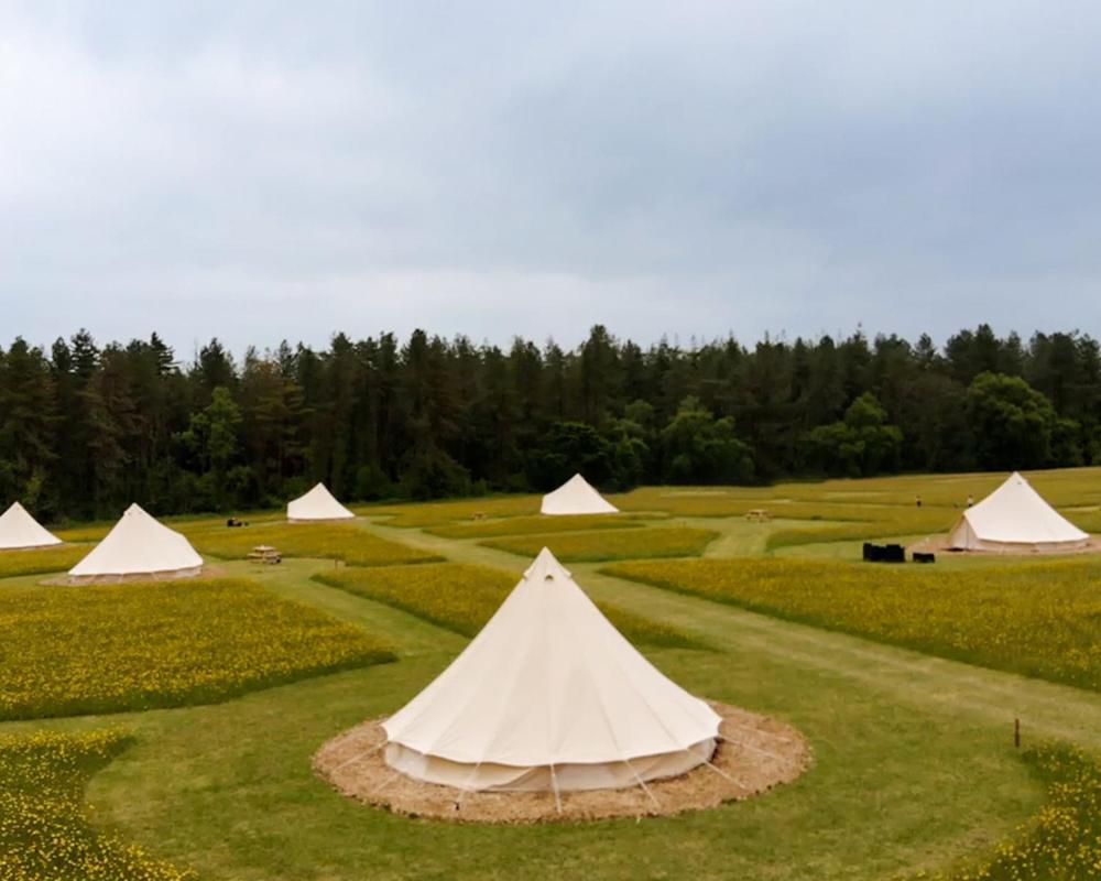 Forest Edge Glamping Gittisham